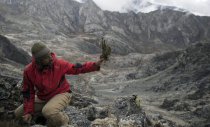 Venezuela Vanishing Glacier