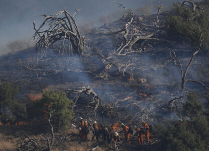 Week in Pictures, Global