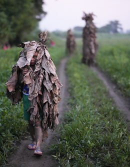 AP Week in Pictures, Global