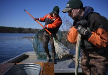 Climate Spearfishing