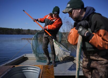 Climate Spearfishing