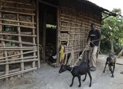 Uganda Domestic Violence