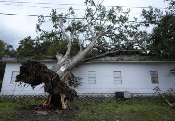 Pictures of the Week Global Photo Gallery