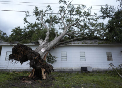 Pictures of the Week Global Photo Gallery