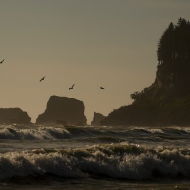 APTOPIX Climate Migration Quinault Nation