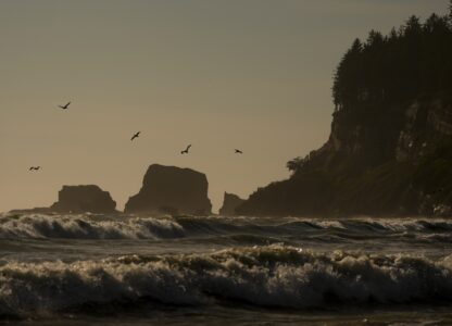 APTOPIX Climate Migration Quinault Nation