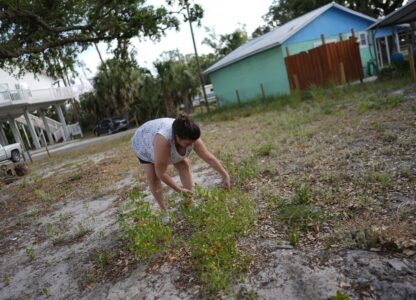 Climate Hurricane Recovery