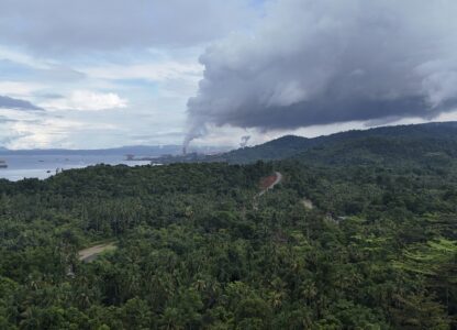 Indonesia Deforestation Nickel Smelters