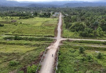 Indonesia Deforestation Nickel Smelters