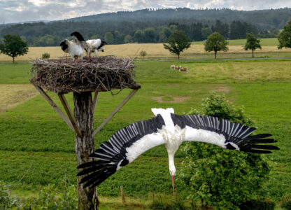 Pictures of the Week Global Photo Gallery