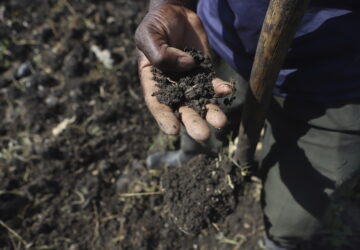 Kenya Dying Soils