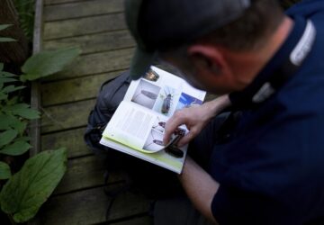 Climate Fireflies Flickering Future