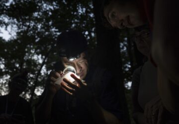 Climate Fireflies Flickering Future