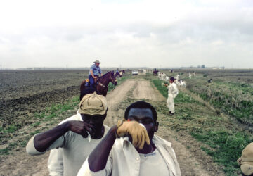 Prison to Plate Inmate Labor Heat