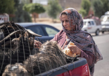 Yazidi Onslaught 10 Years Returning Home