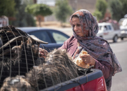 Yazidi Onslaught 10 Years Returning Home