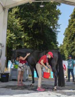 Paris Olympics Day 4 Photo Gallery