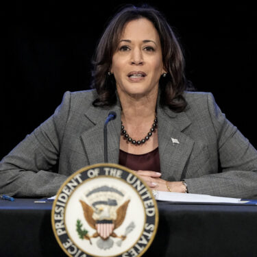 Election 2024 Harris Issues