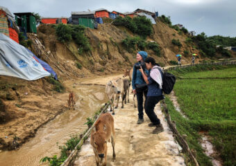 gelineau_wong_rohingya2018