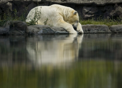 Pictures of the Week Global Photo Gallery